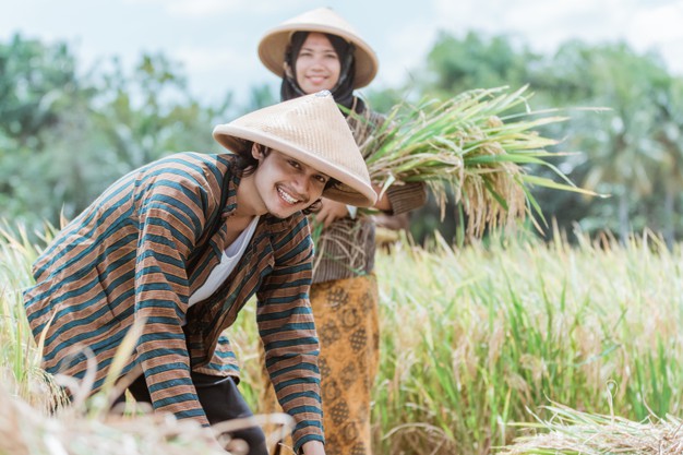 Kementan Ajak Anak Muda Milenial Jadi Petani