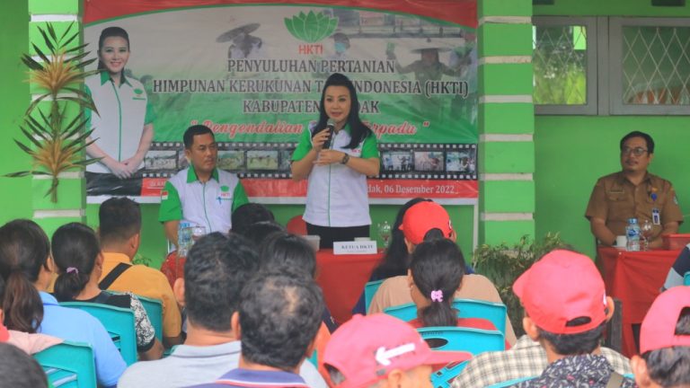 Jaga Ketahanan Pangan, Karolin Sosialisasikan Pengendalian Hama Terpadu