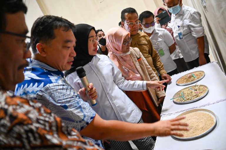 Tak Ingin Impor, Komisi IV DPR RI Kawal Pasokan Beras Dalam Negeri