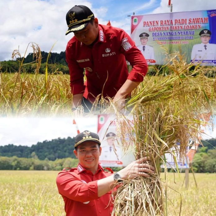 bda9eb6a-a3bc-4602-80eb-1b5e2eab5c03