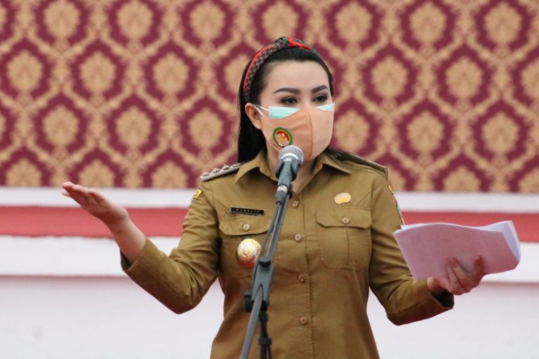 Karolin minta Panglima TNI tindak pelaku penusukan warga Jelimpo Landak