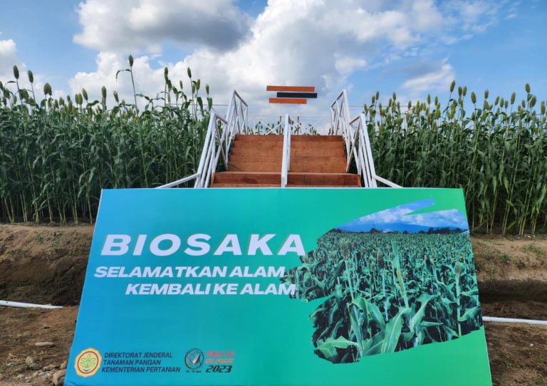 Gelar Teknologi dan Panen Kacang Hijau di PENAS XVI, Petani Kagumi Biosaka