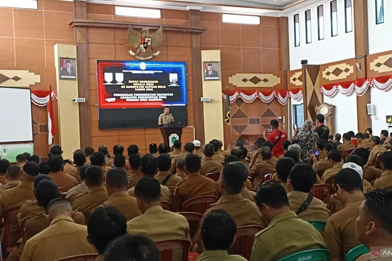 Ungkap Bupati Fransiskus Diaan: Peningkatan Signifikan Kapuas Hulu Raih 79 Desa Mandiri