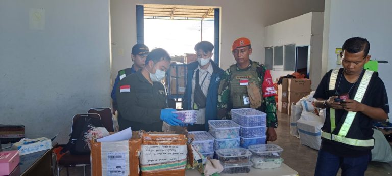 Karantina Papua Selatan Ambil Sikap Tegas Terkait Maraknya Penyelundupan Reptil Melalui Bandar Udara Mopah