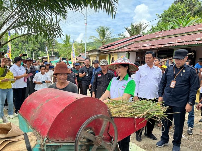 panen-raya-padi-desa-semenok-karolin-berikan-bantuan-hand-sprayer-roFpzEsgnJ