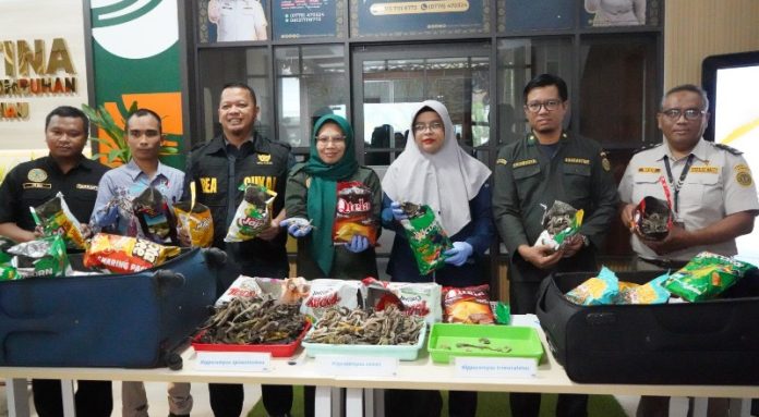 biota 1 Lindungi Biota Laut, Karantina Kepri Bersinergi Amankan Kuda Laut Kering