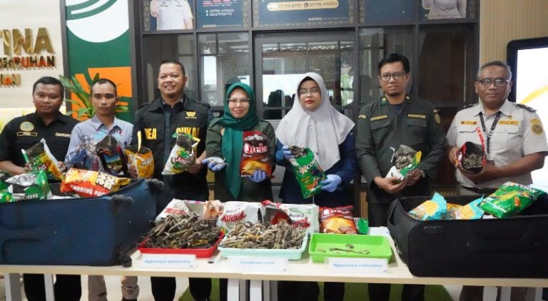 Lindungi Biota Laut, Karantina Kepri Bersinergi Amankan Kuda Laut Kering