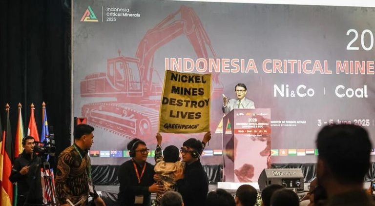 Aktivis Greenpeace Minta Pemerintah Cabut Izin Tambang Nikel di Papua